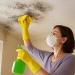 How to Remove a Ceiling Mould Safely and Naturally